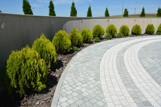 Best Driveway Paving Contractor  in Brookmont, MD